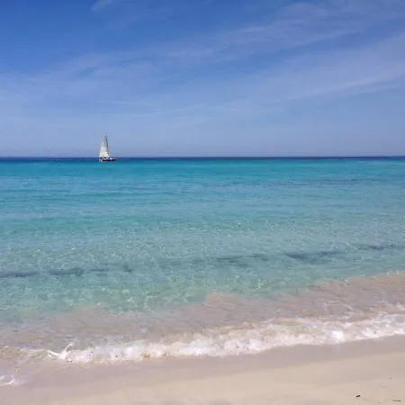 Studio St Florent Piscine Appartement Saint-Florent (Corsica)